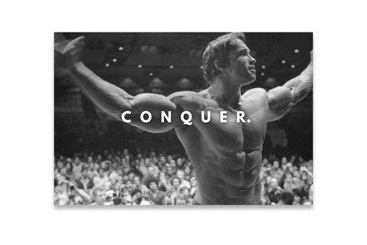 CONQUER