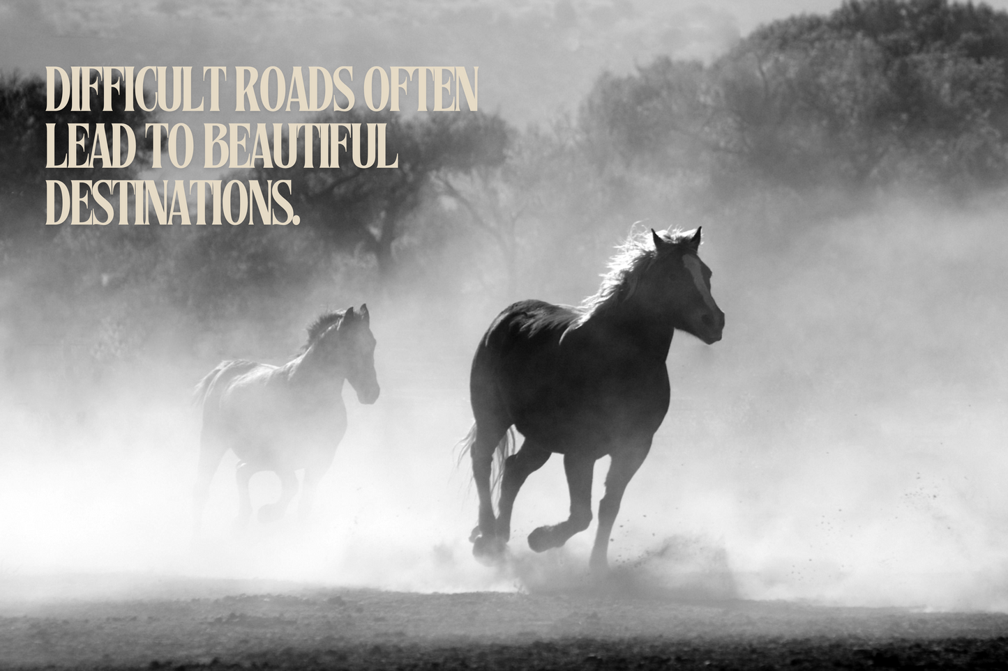 DIFFICULT ROADS OFTEN LEAD TO BEAUTIFUL DESTINATIONS