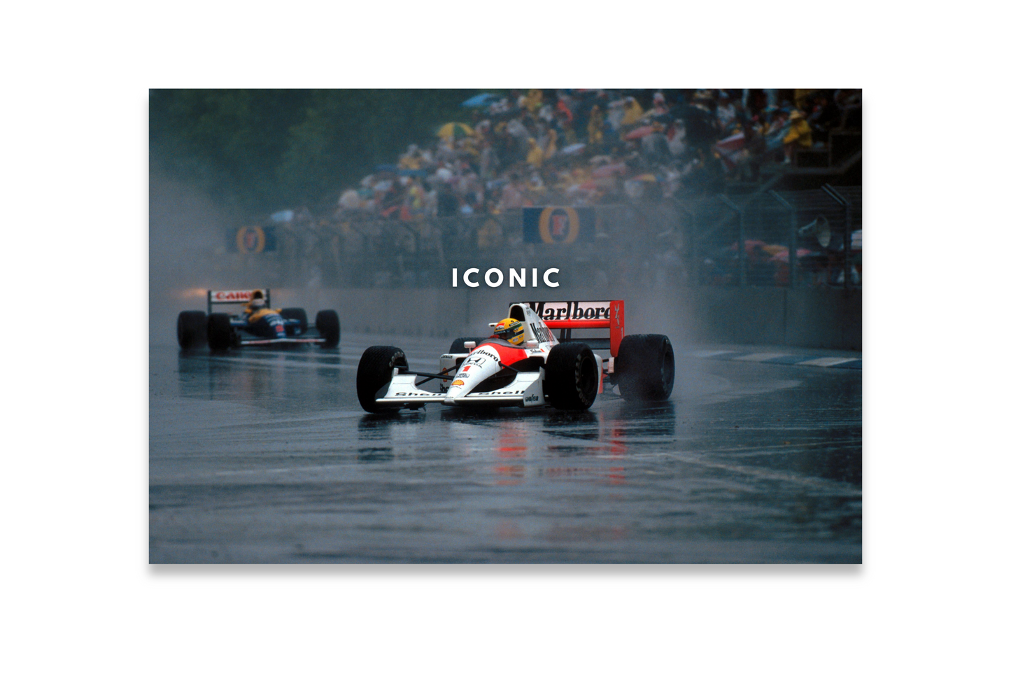 SENNA - ICONIC